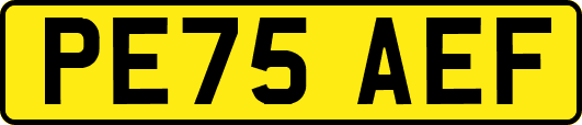 PE75AEF