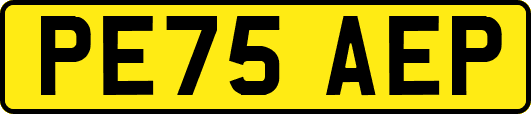 PE75AEP