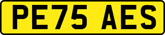 PE75AES