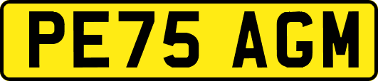 PE75AGM