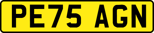PE75AGN
