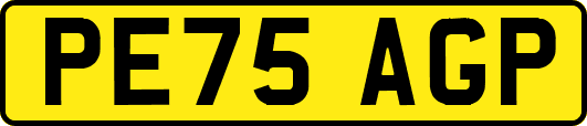 PE75AGP