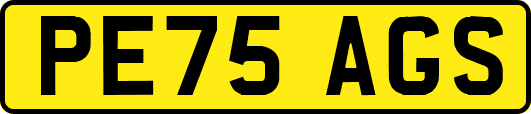 PE75AGS