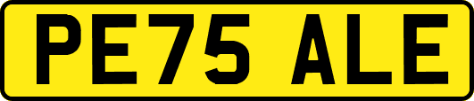 PE75ALE