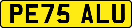 PE75ALU