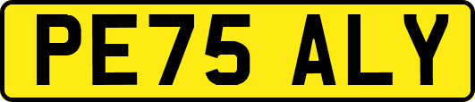 PE75ALY