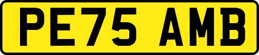 PE75AMB