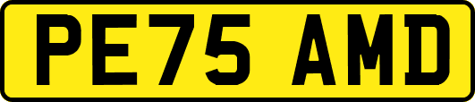 PE75AMD