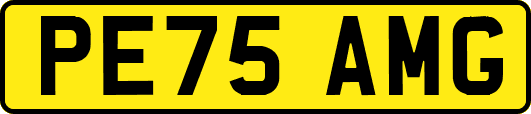PE75AMG