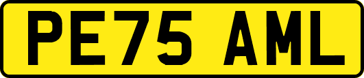 PE75AML