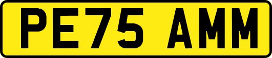 PE75AMM