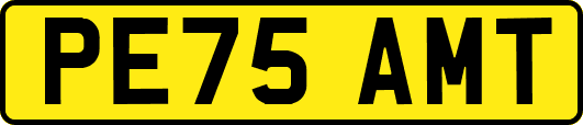 PE75AMT