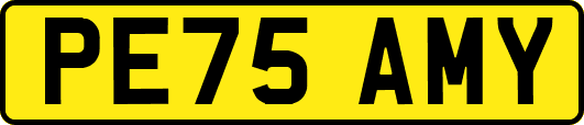 PE75AMY