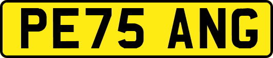 PE75ANG