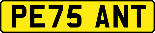 PE75ANT