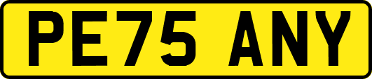 PE75ANY