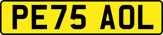PE75AOL