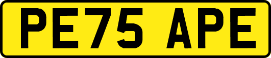 PE75APE