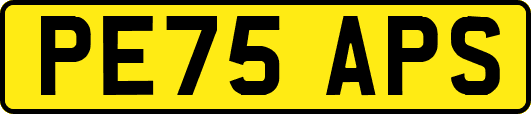PE75APS