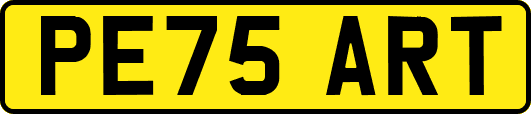 PE75ART