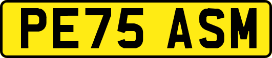 PE75ASM