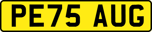 PE75AUG