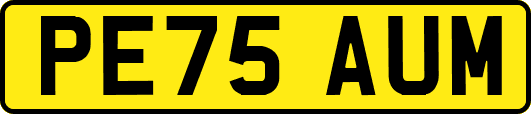 PE75AUM