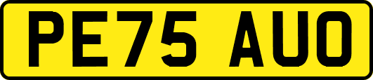PE75AUO