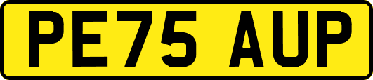 PE75AUP