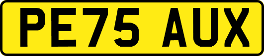 PE75AUX