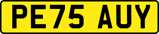 PE75AUY