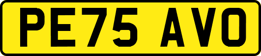 PE75AVO
