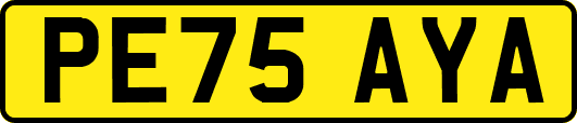 PE75AYA