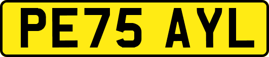 PE75AYL