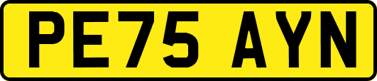 PE75AYN