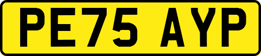 PE75AYP