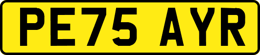 PE75AYR