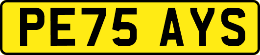 PE75AYS