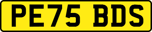 PE75BDS