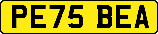 PE75BEA
