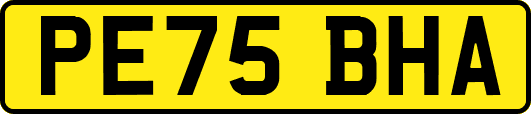 PE75BHA