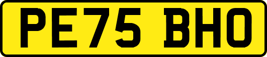 PE75BHO