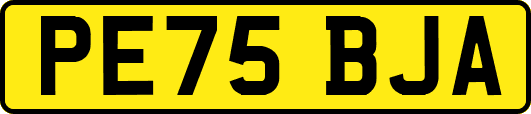 PE75BJA