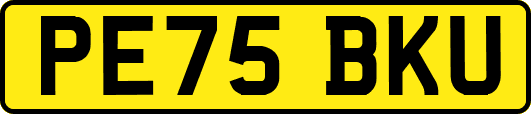 PE75BKU