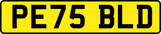 PE75BLD