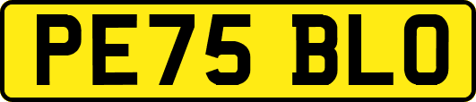 PE75BLO