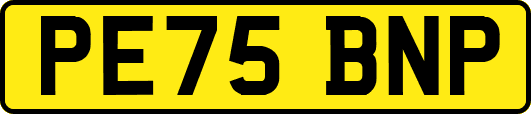 PE75BNP