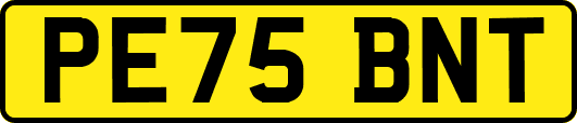 PE75BNT