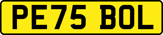 PE75BOL