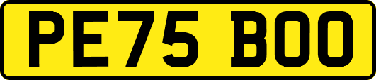 PE75BOO